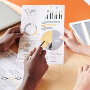 Carrying out audit of company